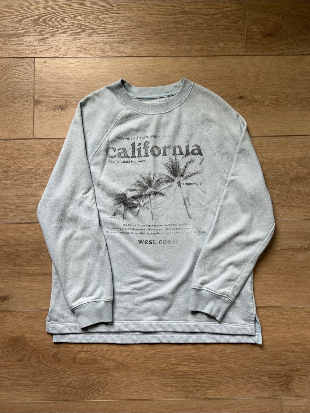 American Eagle California Palm Graphic Crewneck Sweatshirt - Light Blue